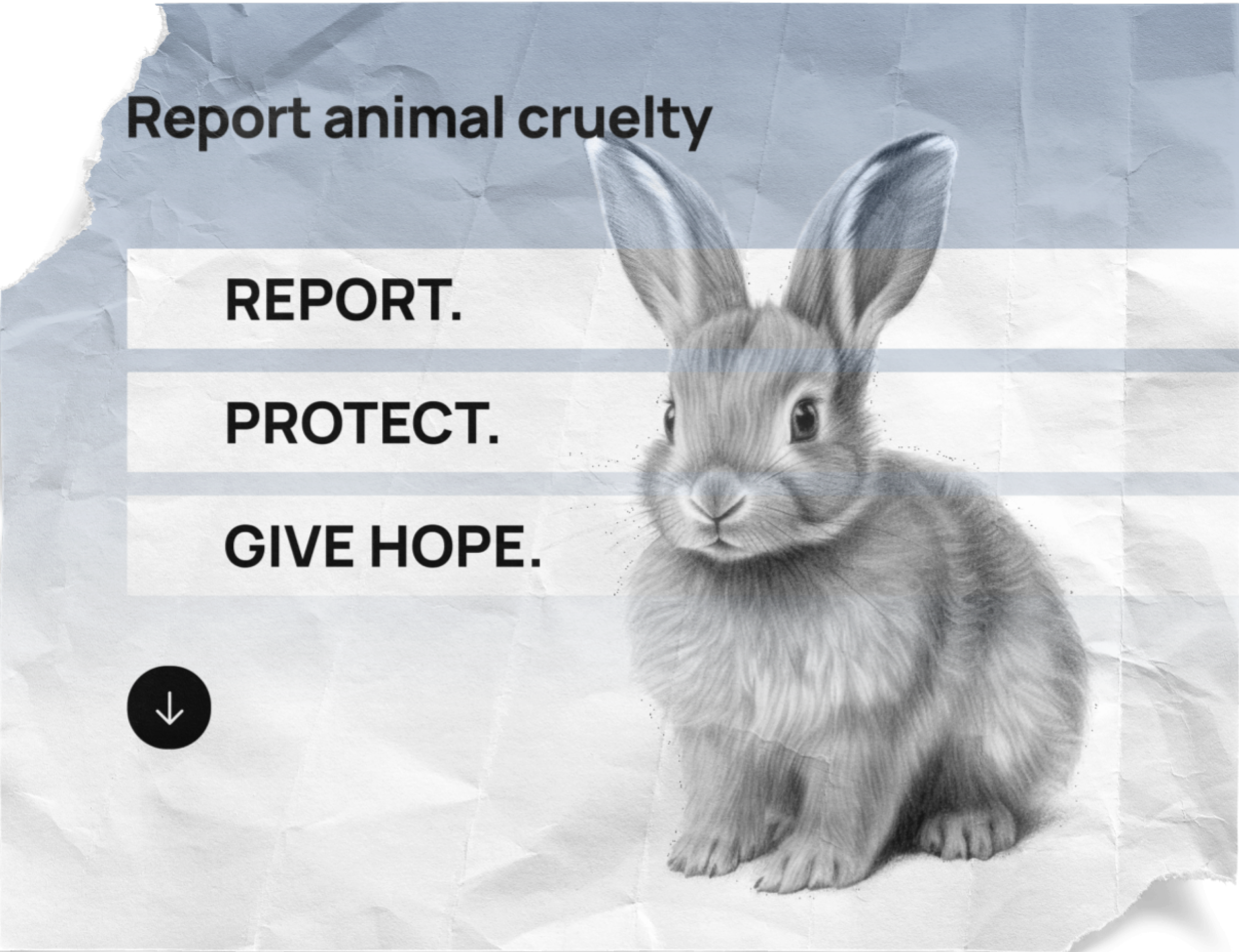 RSPCA Challenges